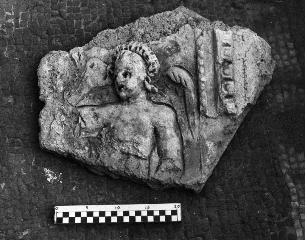 elemento decorativo (non determinabile)