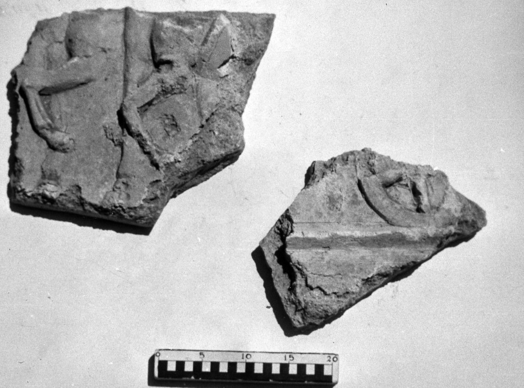 elemento decorativo (non determinabile)