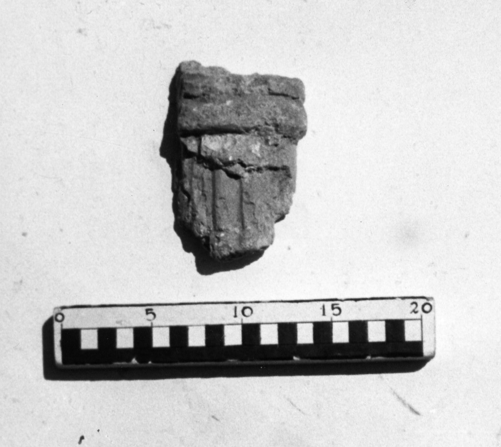 elemento decorativo (non determinabile)