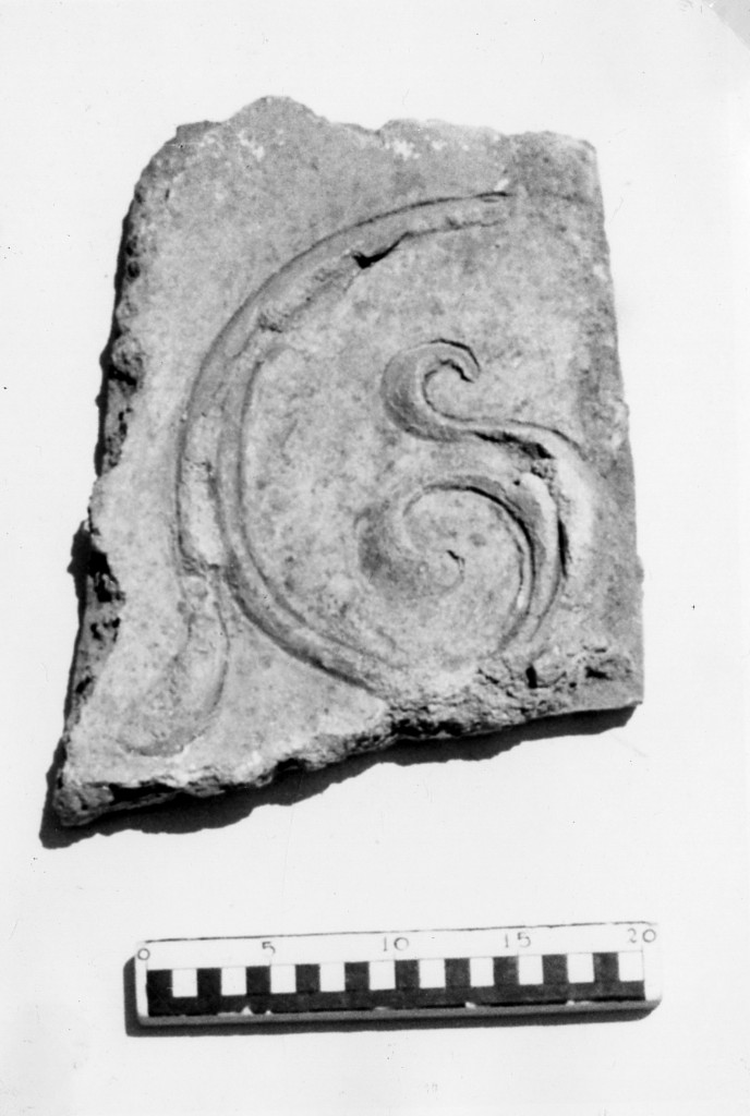 elemento decorativo (non determinabile)