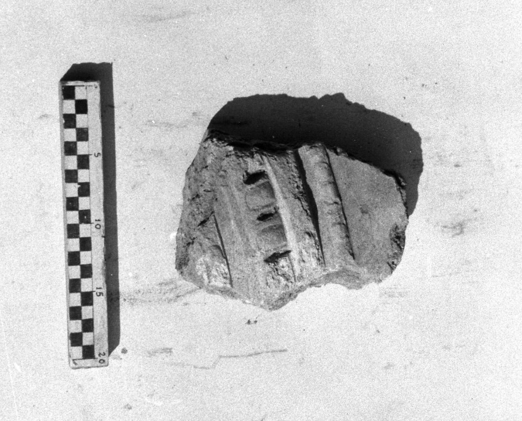 elemento decorativo (non determinabile)