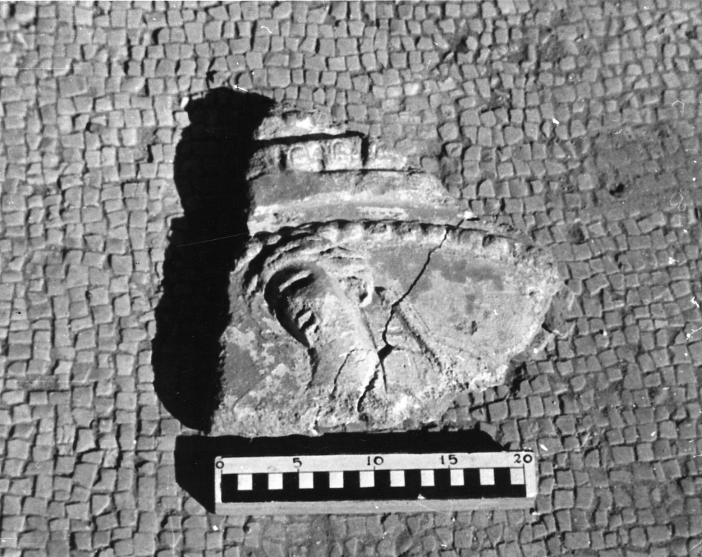 elemento decorativo (non determinabile)