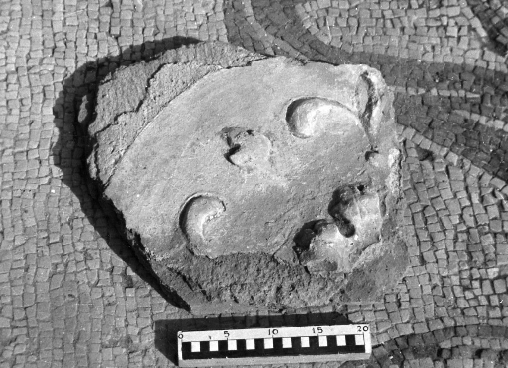 elemento decorativo (non determinabile)