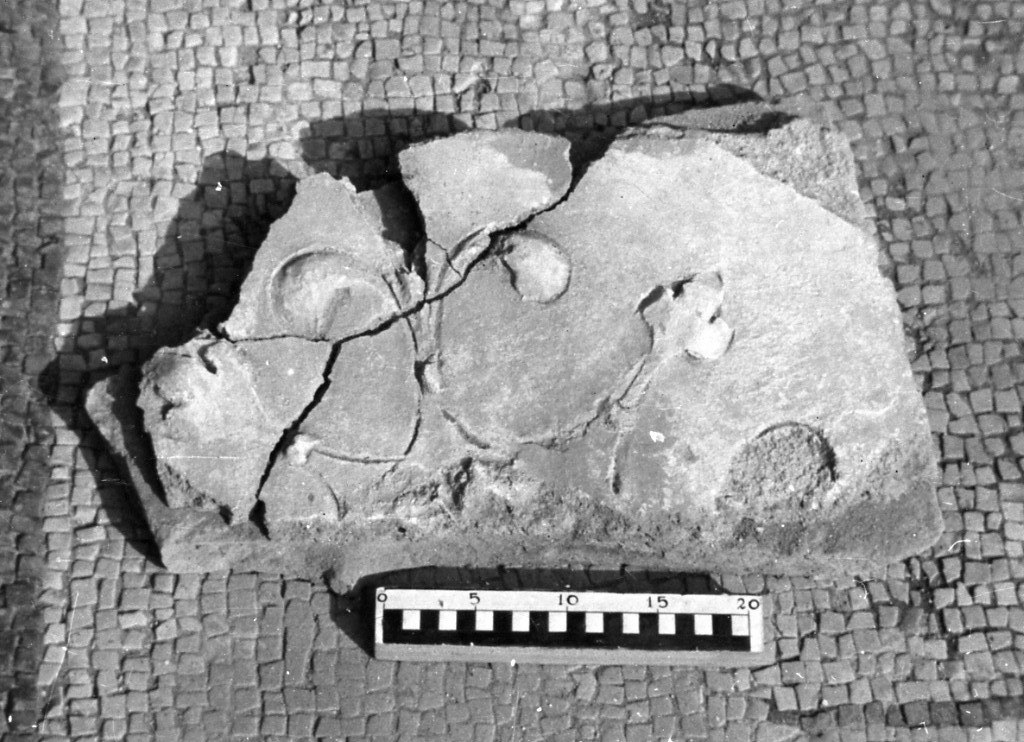 elemento decorativo (non determinabile)