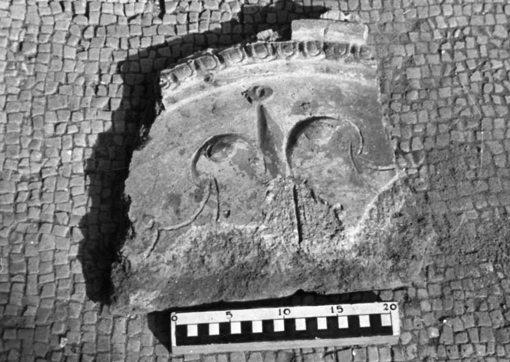 elemento decorativo (non determinabile)