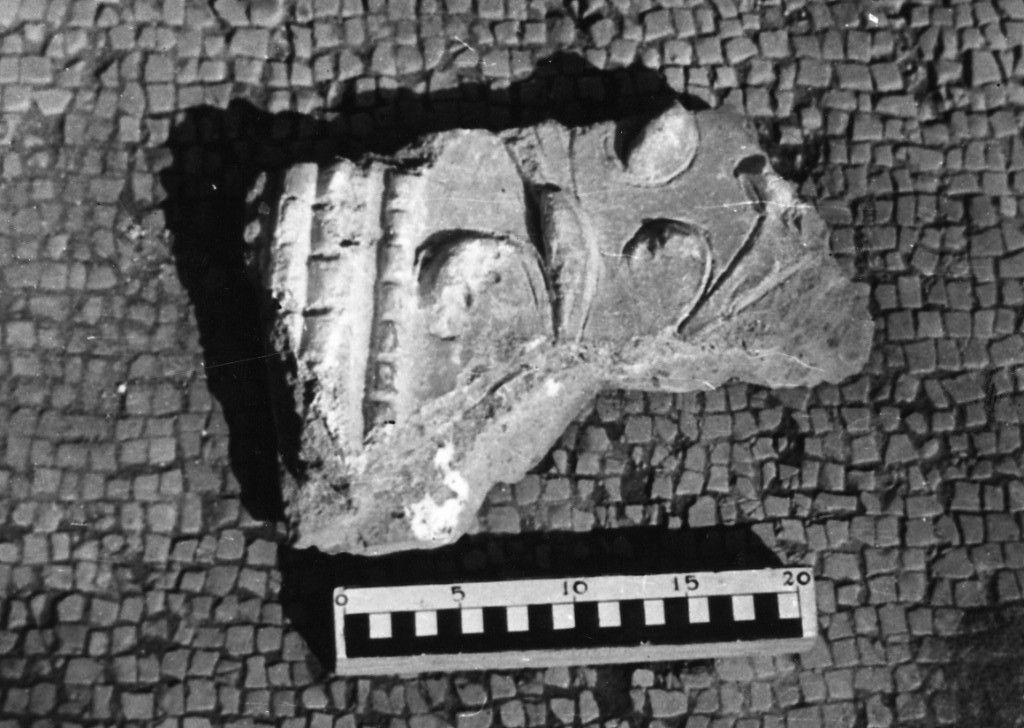 elemento decorativo (non determinabile)