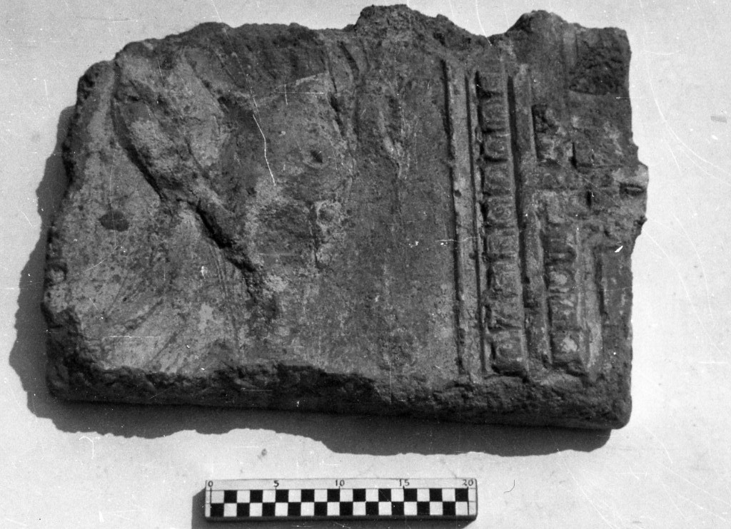 elemento decorativo (non determinabile)