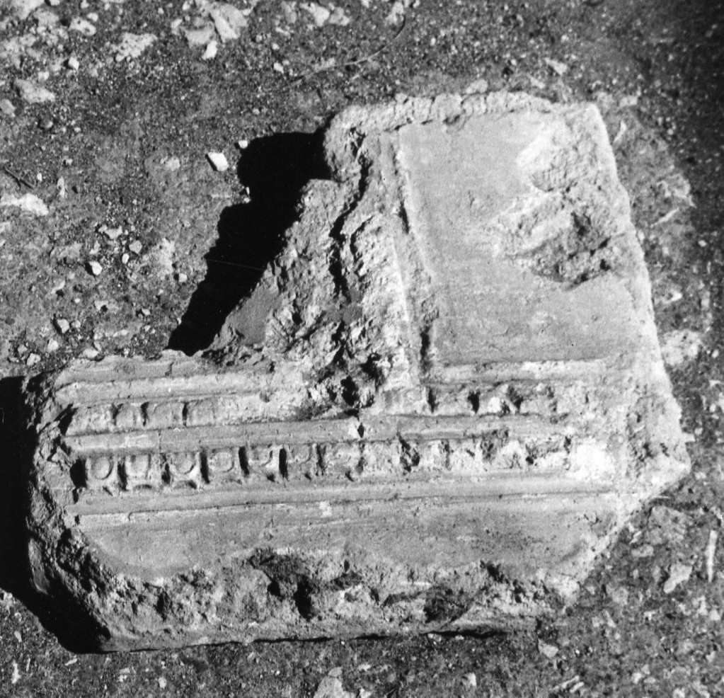 elemento decorativo (non determinabile)