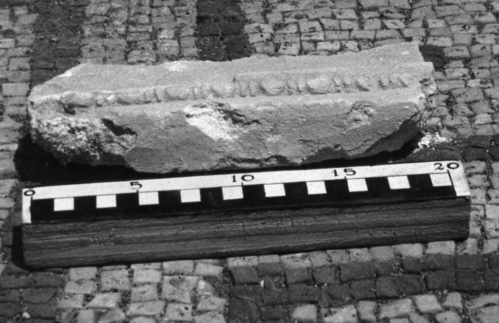 elemento decorativo (non determinabile)