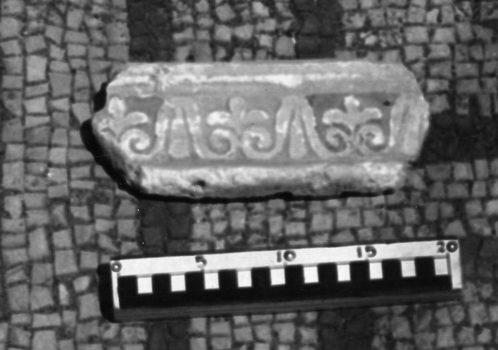 elemento decorativo (non determinabile)