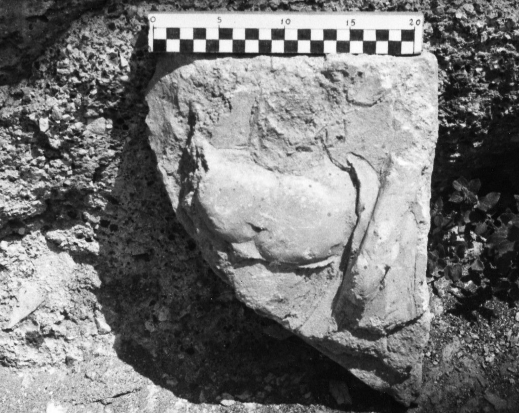 elemento decorativo (non determinabile)