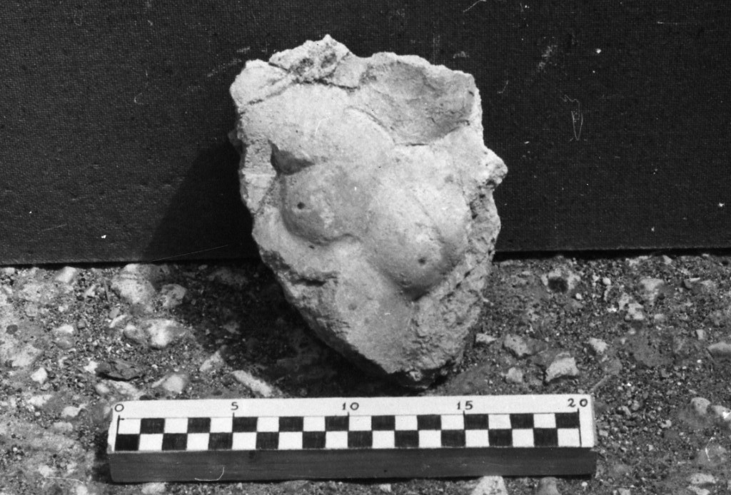 elemento decorativo (non determinabile)