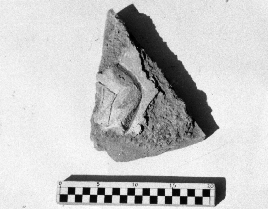 elemento decorativo (non determinabile)