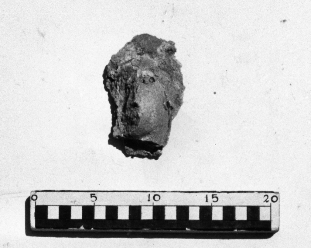 elemento decorativo (non determinabile)