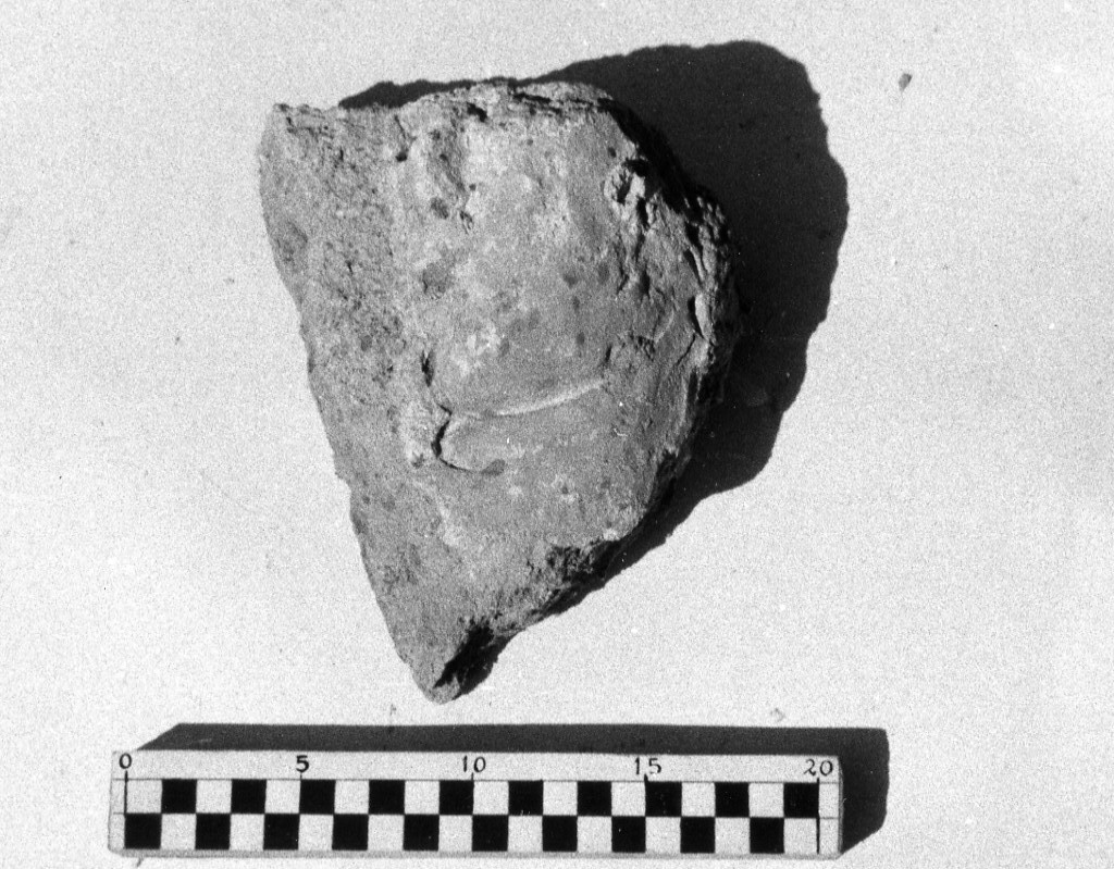 elemento decorativo (non determinabile)