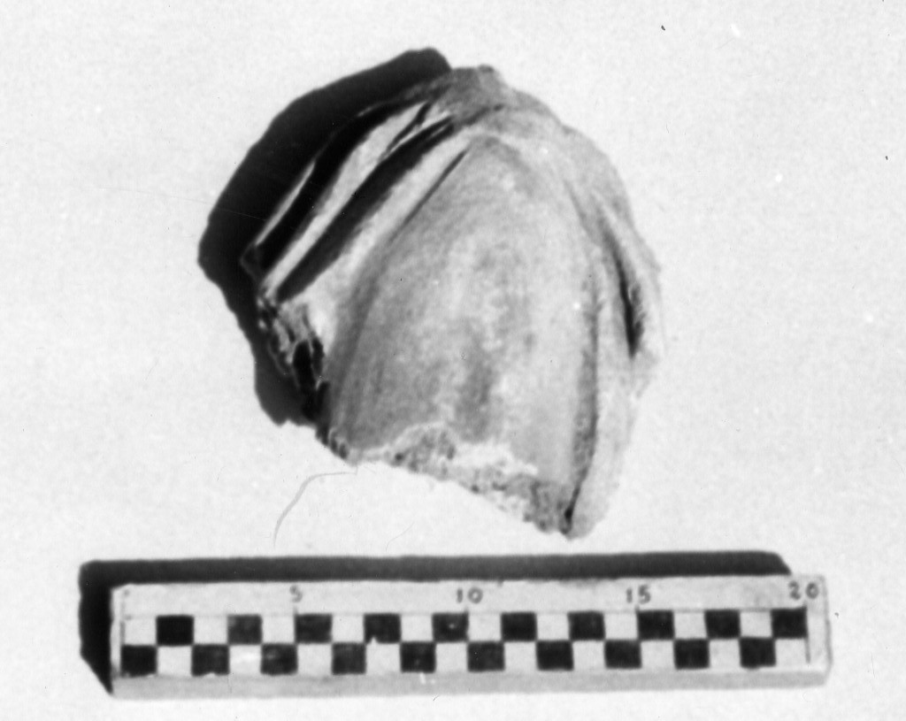 elemento decorativo (non determinabile)