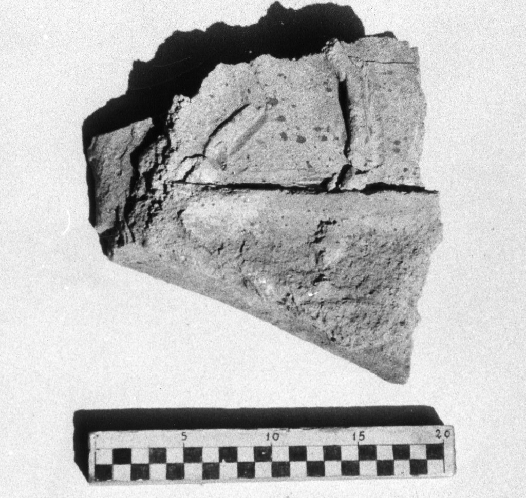 elemento decorativo (non determinabile)