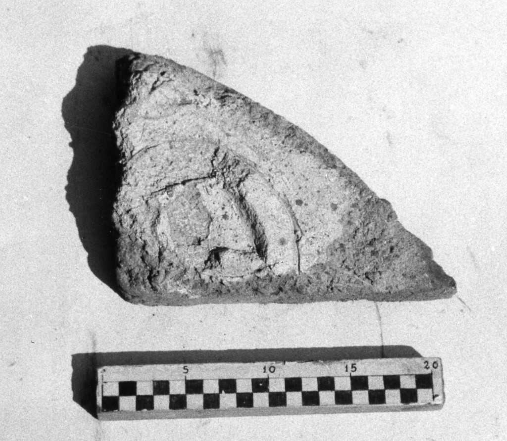 elemento decorativo (non determinabile)