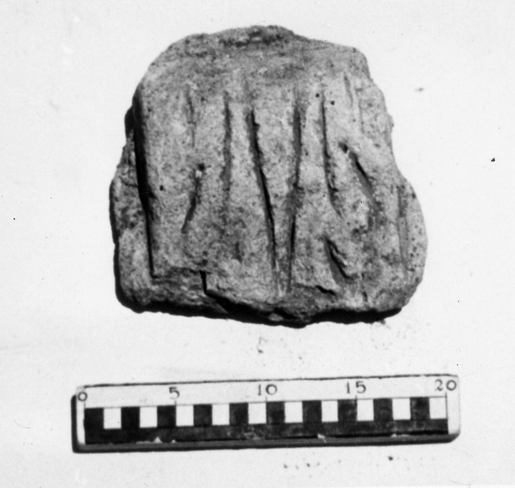 elemento decorativo (non determinabile)