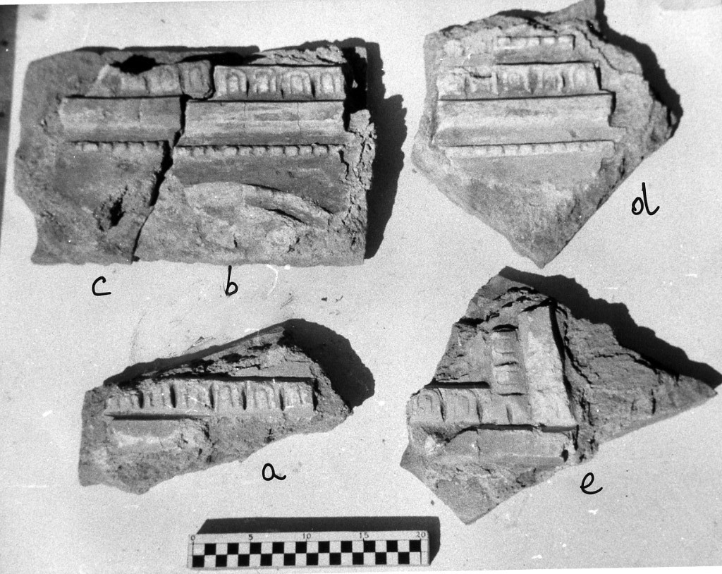 elemento decorativo (non determinabile)