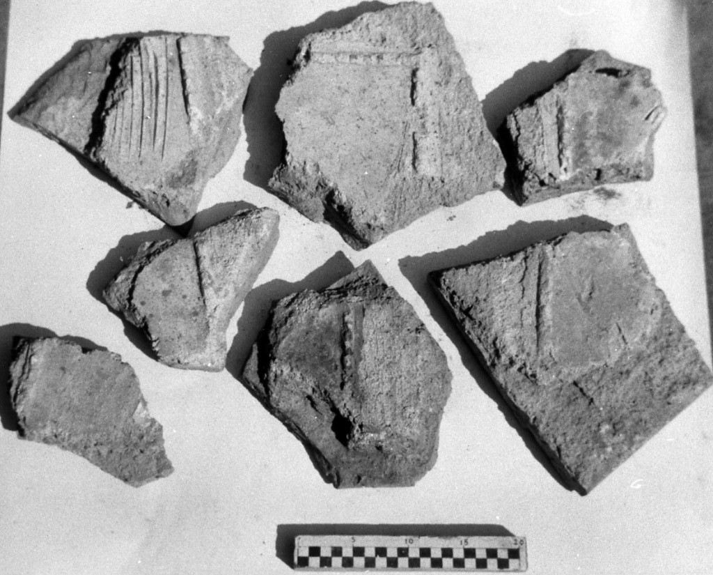 elemento decorativo (non determinabile)