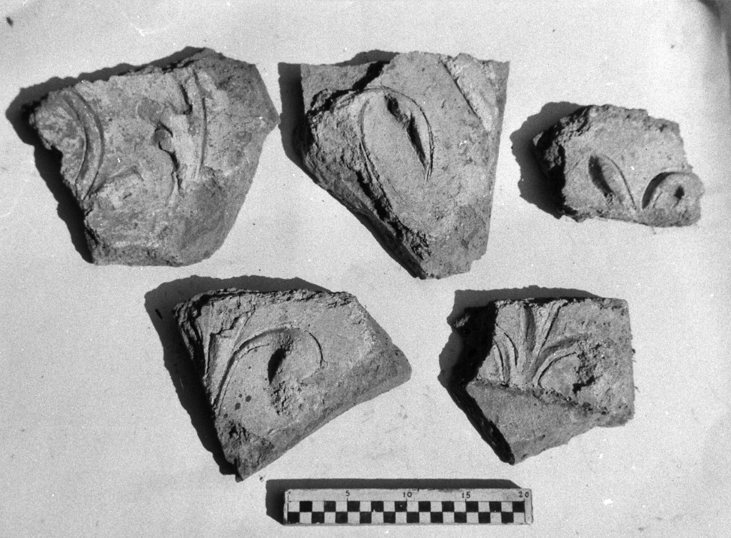 elemento decorativo (non determinabile)