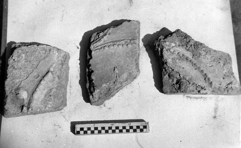 elemento decorativo (non determinabile)