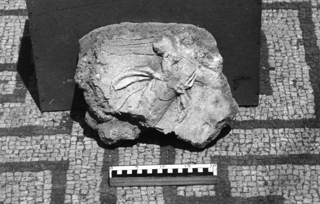 elemento decorativo (non determinabile)