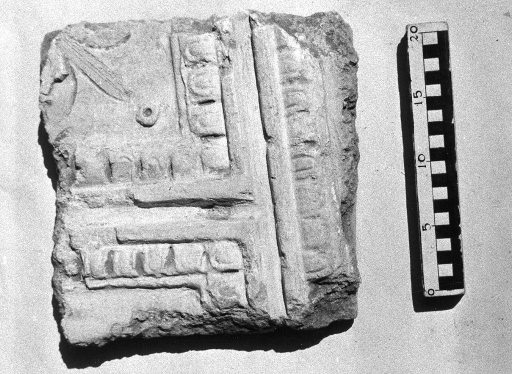 elemento decorativo (non determinabile)