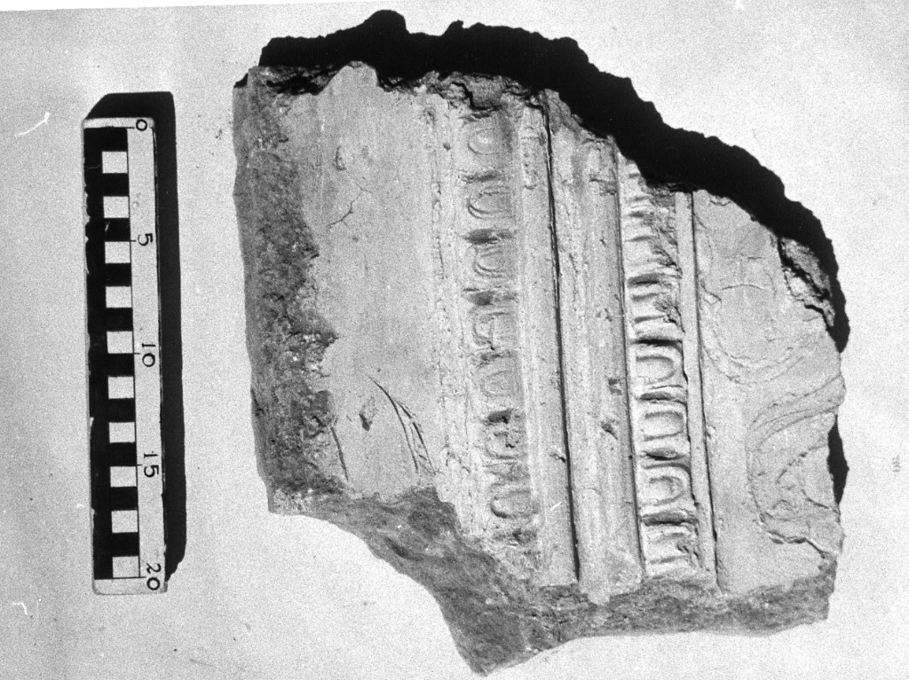 elemento decorativo (non determinabile)