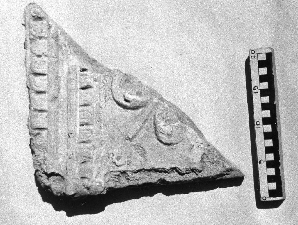 elemento decorativo (non determinabile)