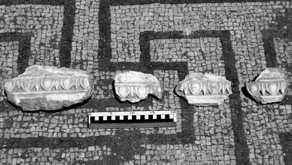 elemento decorativo (non determinabile)