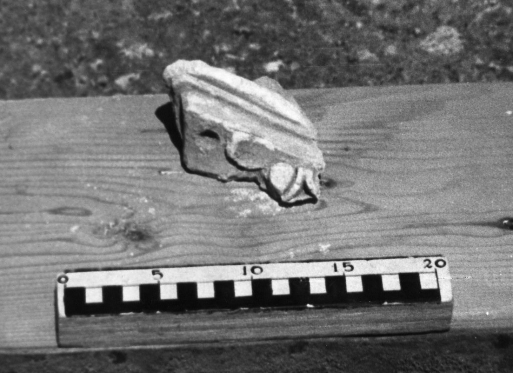 elemento decorativo (non determinabile)