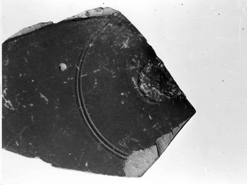 patera - officina di SEX. ANNIVS (secc. I a.C.-I d.C)