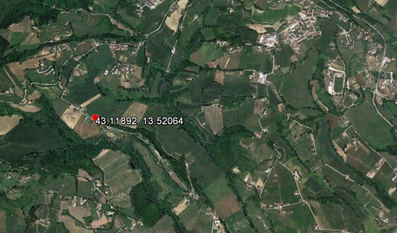 ritrovamento sporadico - Montegiorgio (FM)  (non determinabile)
