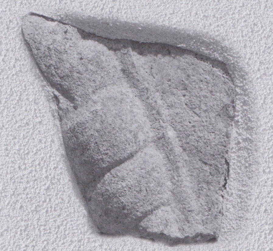 sarcofago/ fianco (secc. II-III d.C)