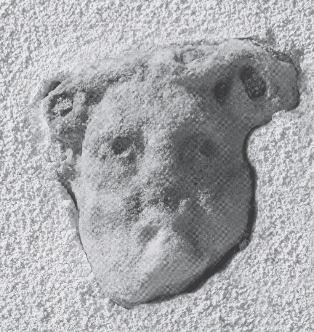 / testa (sec. III d.C)