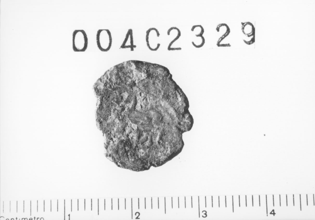 Specie monetaria non identificabile 