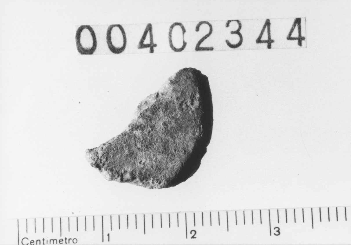 Specie monetaria non identificabile 