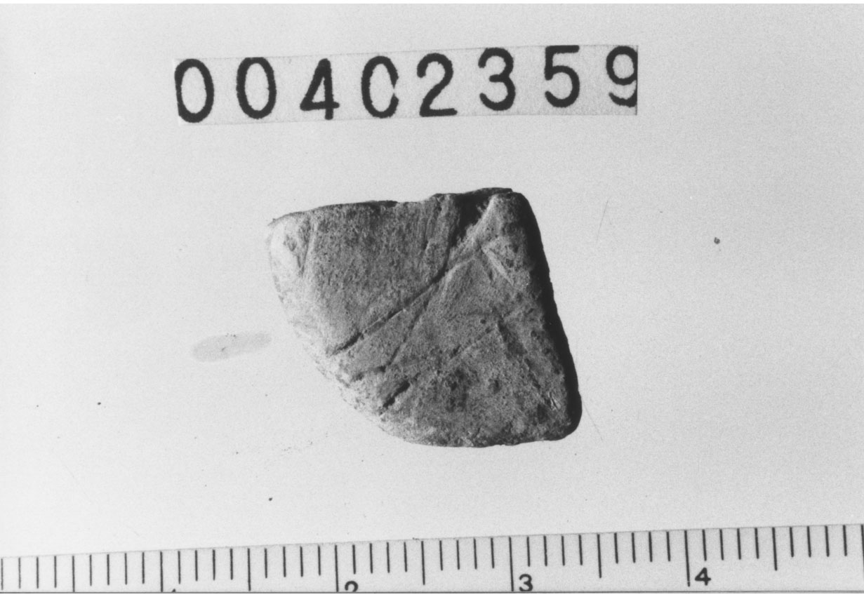 Specie monetaria non identificabile 