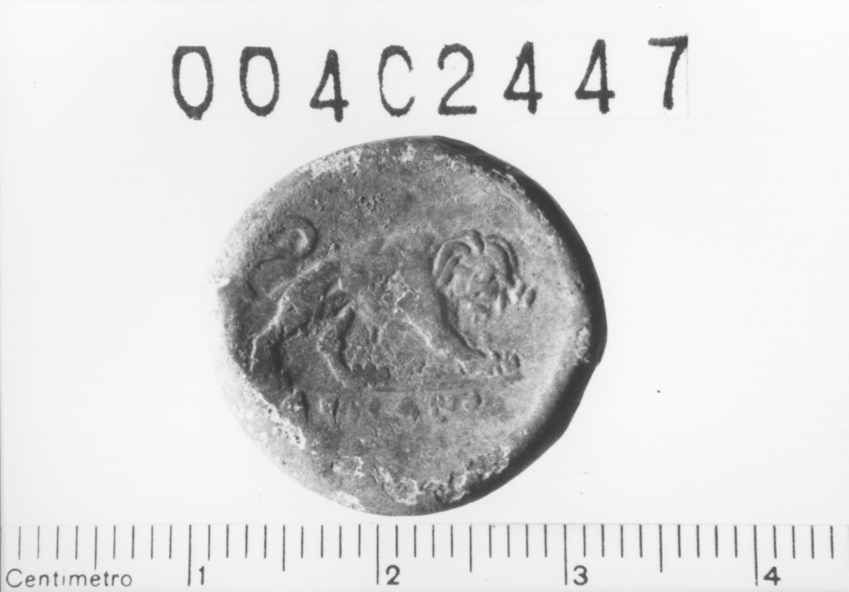 Doppia litra romano - campana (III a.C)