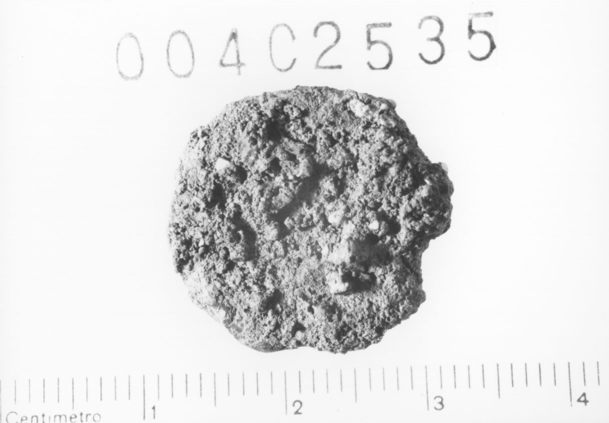 Specie monetaria non identificabile 