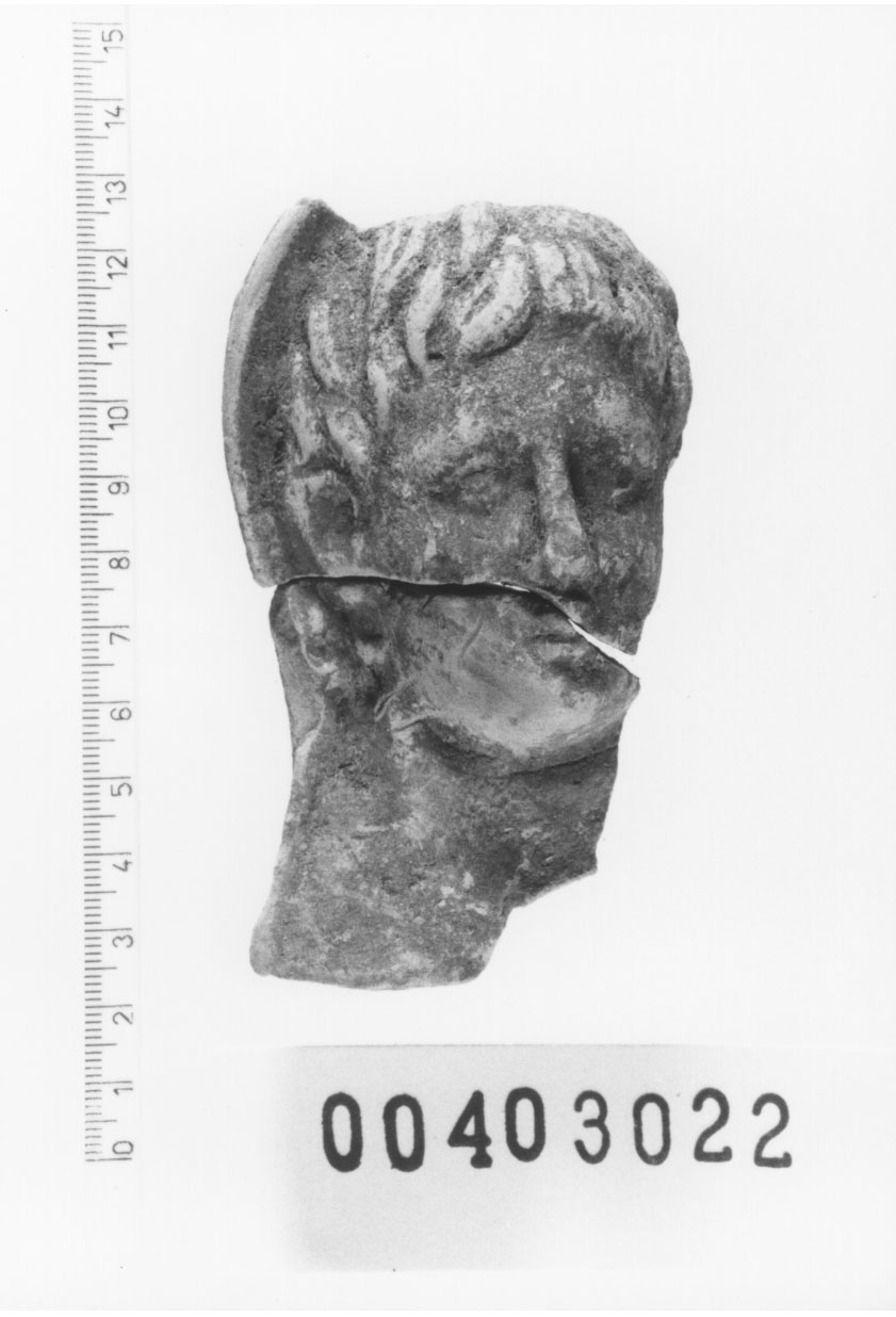 Figura maschile (Testa di statuetta) (III a.C, II a.C)
