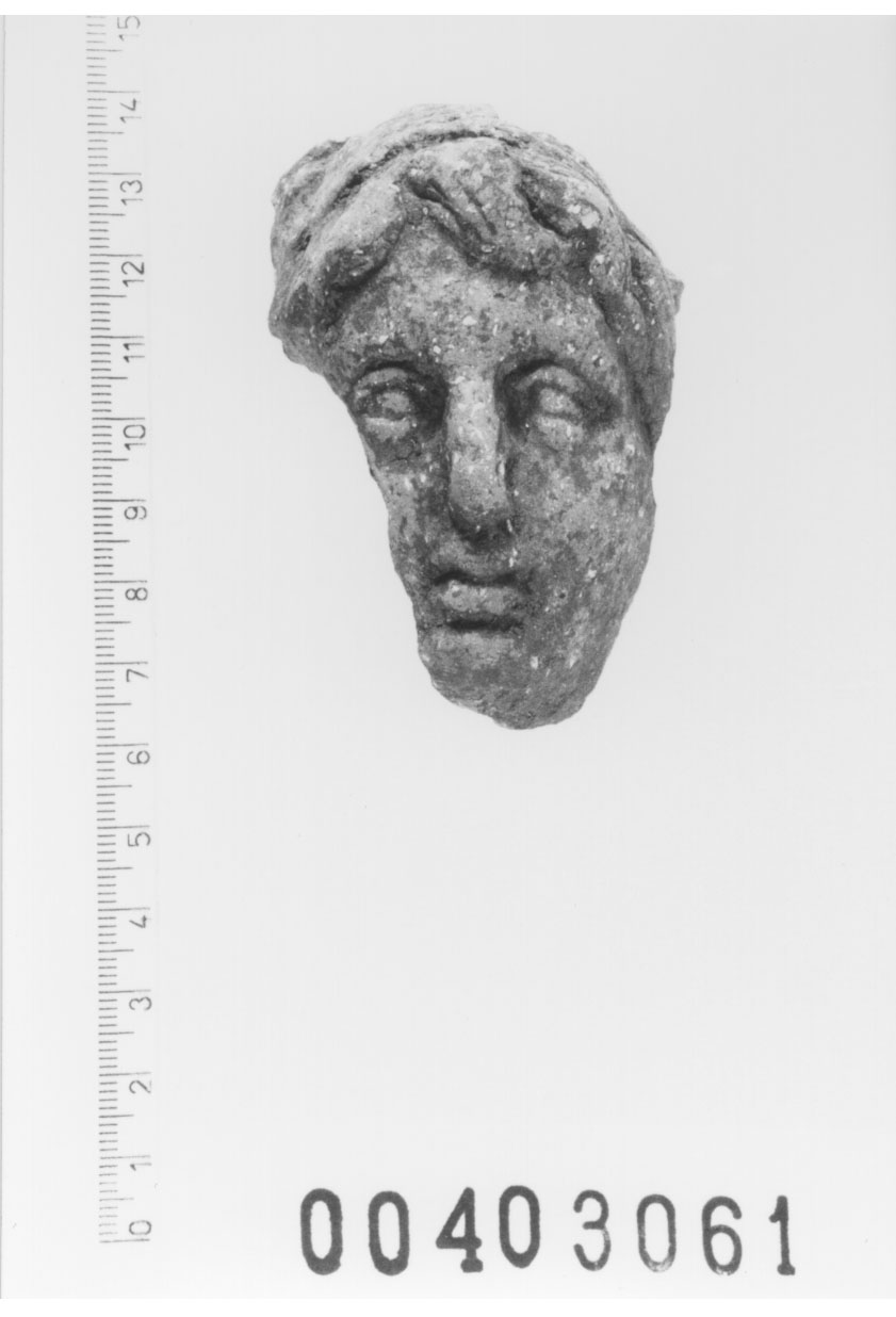 Figura maschile (Testa di statuetta) (III a.C, II a.C)