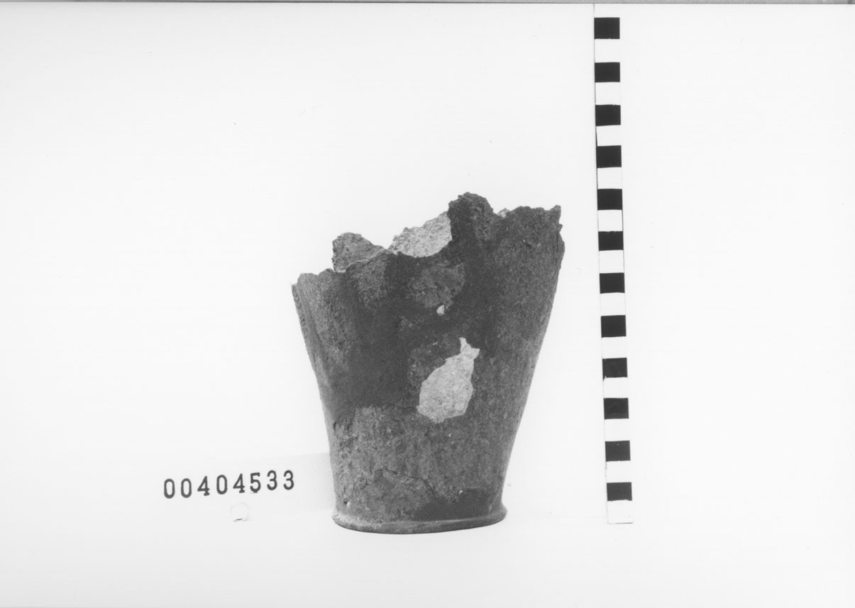 Situla, Giuliani Pomes, tipo C (V a.C, IV a.C)