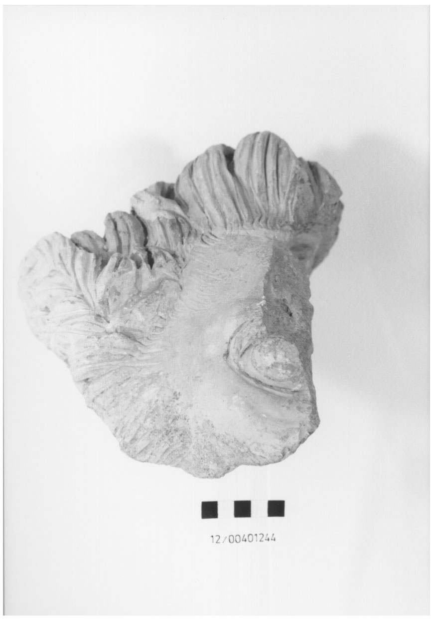 protome leonina (rilievo) (III-II a.C)