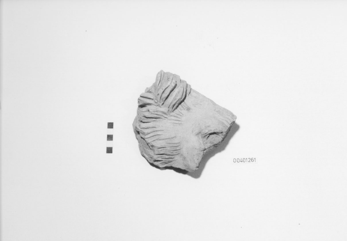 protome leonina (geison) (III-II a.C)