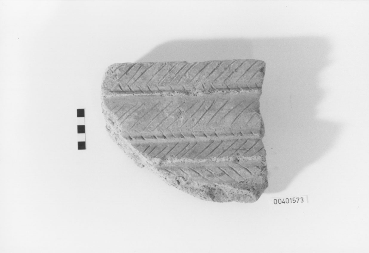 supporto - produzione Tarraconese (non determinabile)