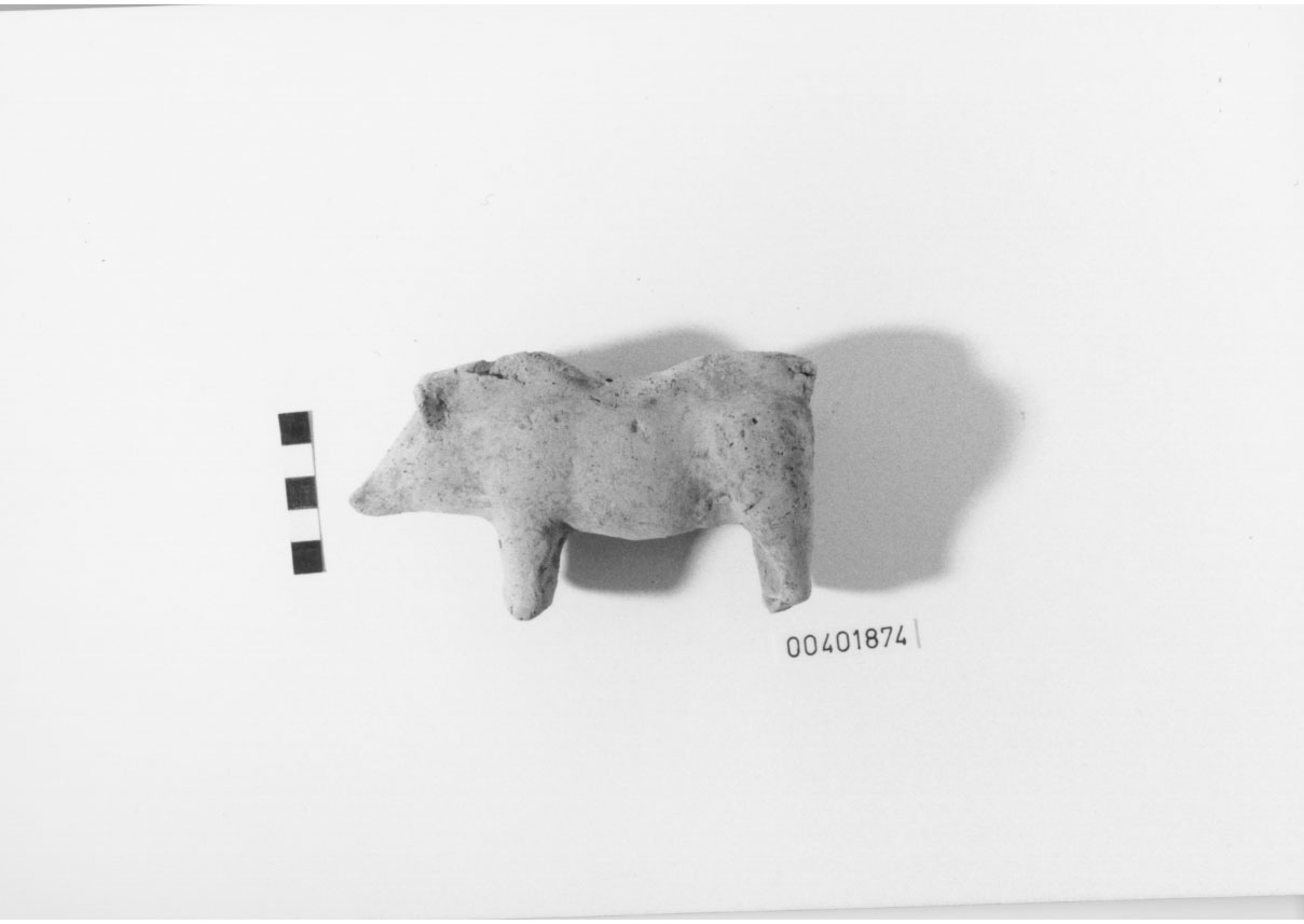 Cinghiale (statuetta/ votiva, zoomorfa) - Produzione locale (III-II a.C)