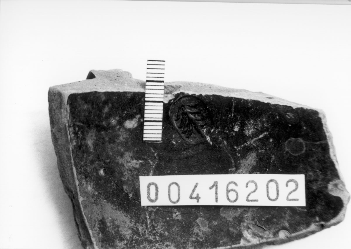 Piede/ frammento, Morel, specie 321 b (Prima metà III a.C)